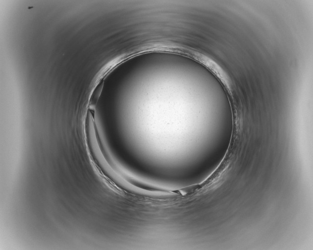 X0000116160954200911301558