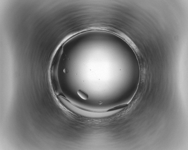 X0000116160955200911301558