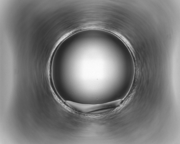 X0000116160957200911301558