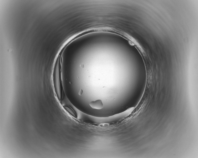 X0000116160959200911301558