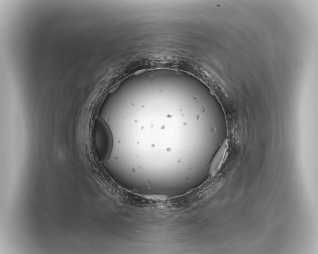 X0000116160961200911301558