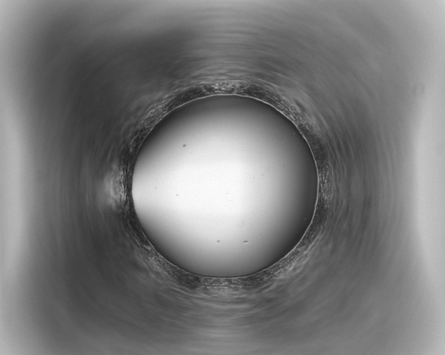 X0000116160962200911301558