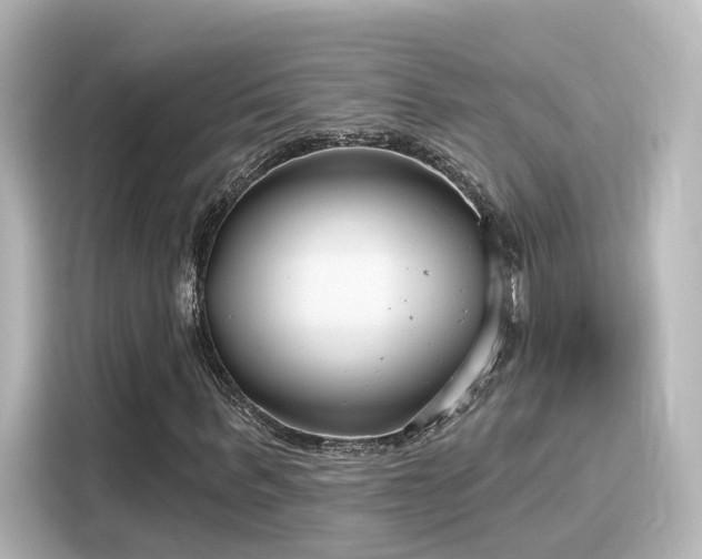 X0000116160963200911301558