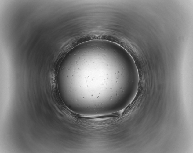 X0000116160964200911301558