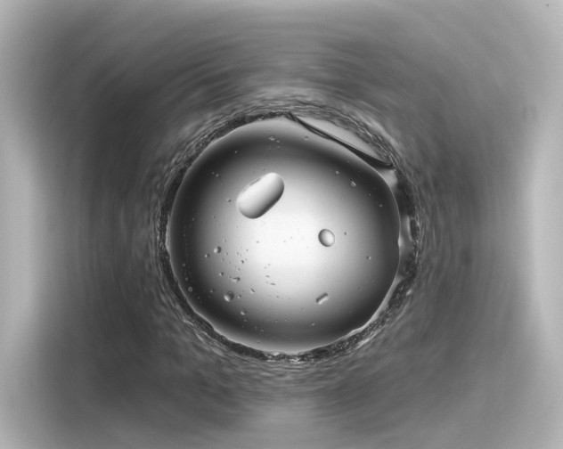 X0000116160965200911301558