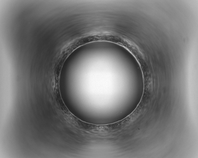 X0000116160966200911301558