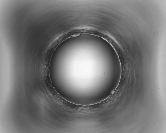 X0000116160967200911301558