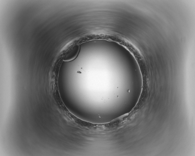 X0000116160968200911301558