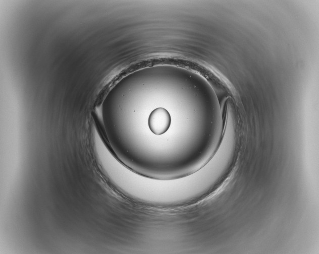 X0000116160969200911301558