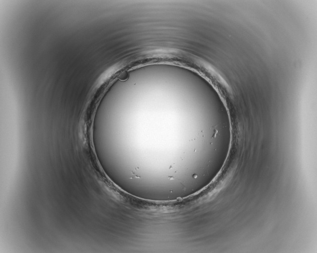 X0000116160970200911301558