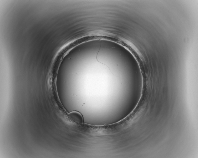 X0000116160971200911301558