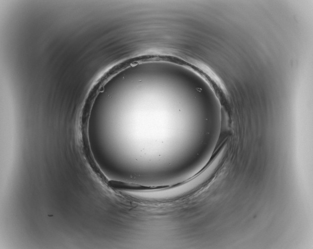 X0000116160972200911301558