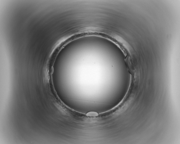 X0000116160973200911301558