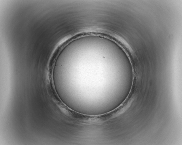 X0000116160974200911301558