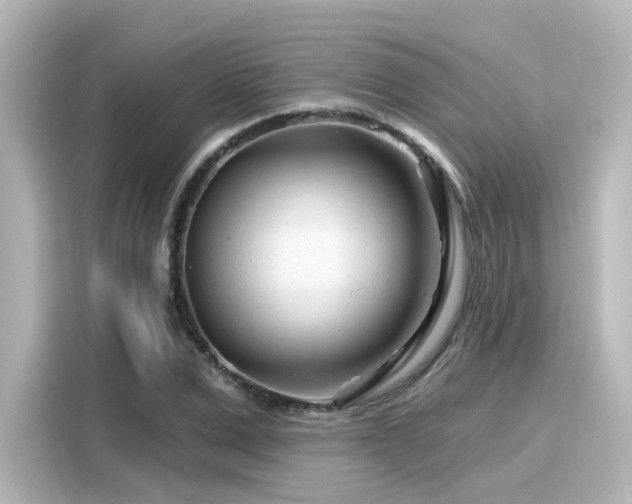 X0000116160975200911301558