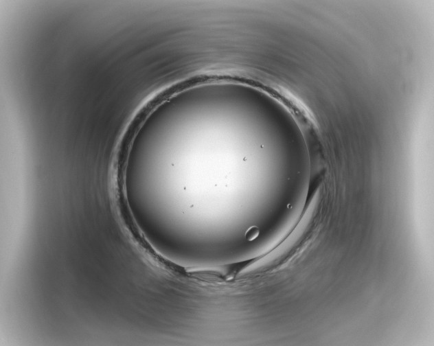 X0000116160976200911301558