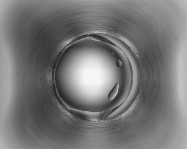 X0000116160977200911301558