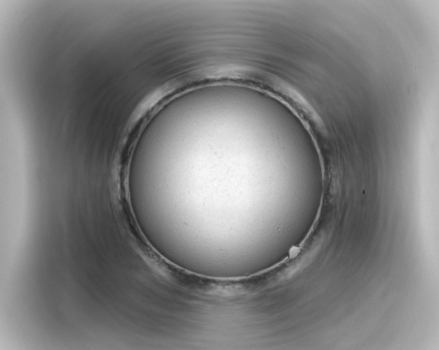 X0000116160978200911301558