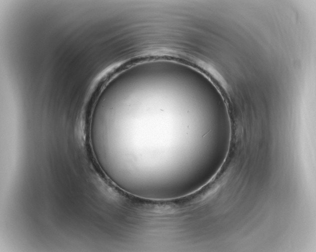 X0000116160979200911301558