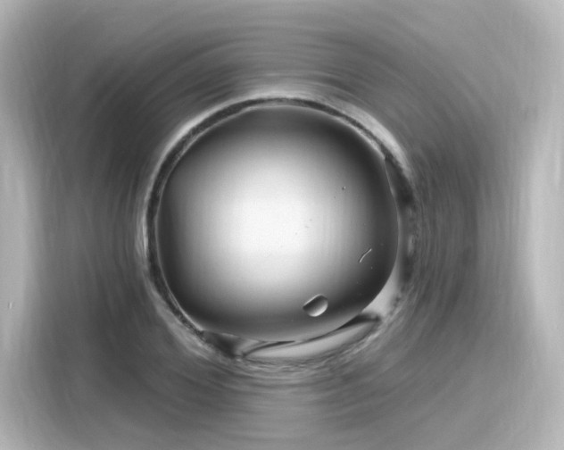 X0000116160980200911301557