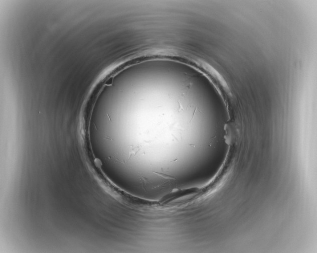 X0000116160981200911301557