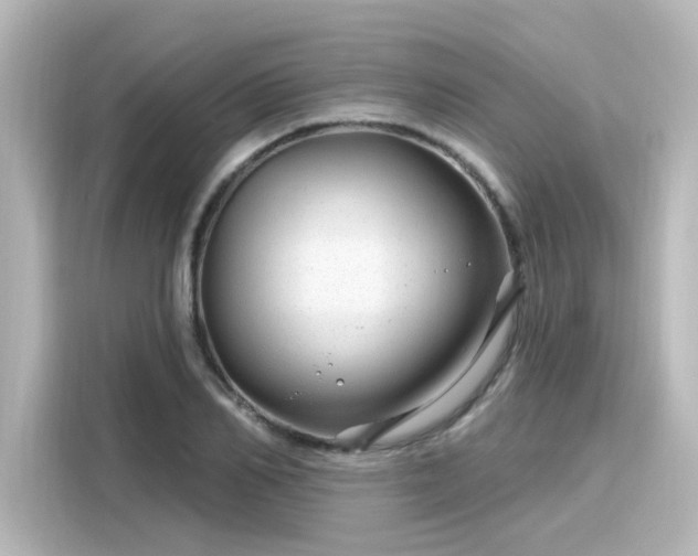 X0000116160982200911301557