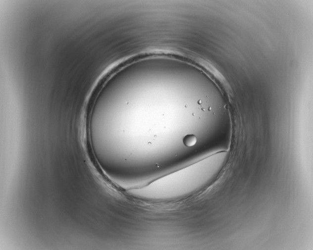 X0000116160984200911301557