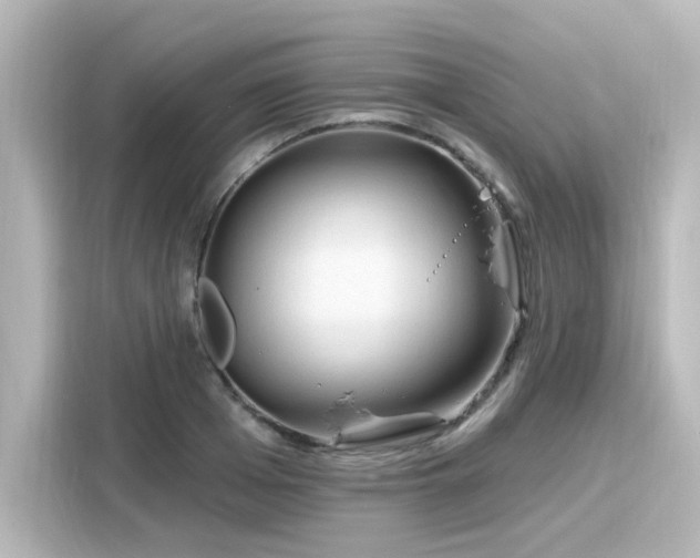 X0000116160985200911301557