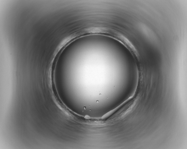 X0000116160986200911301557