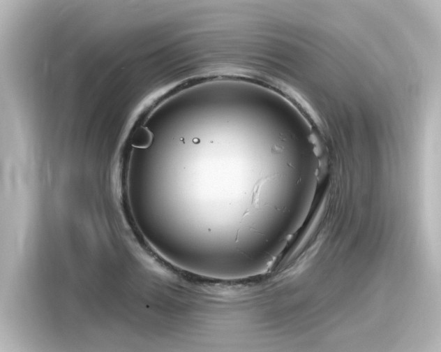 X0000116160987200911301557