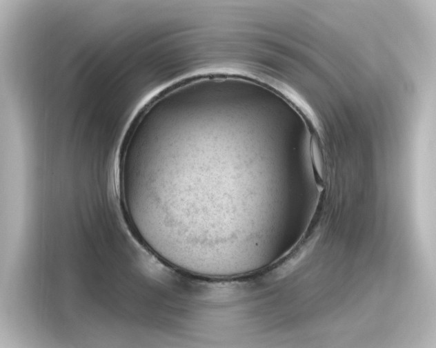 X0000116160988200911301557