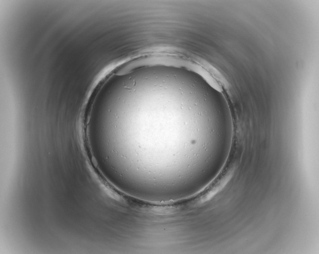 X0000116160989200911301557