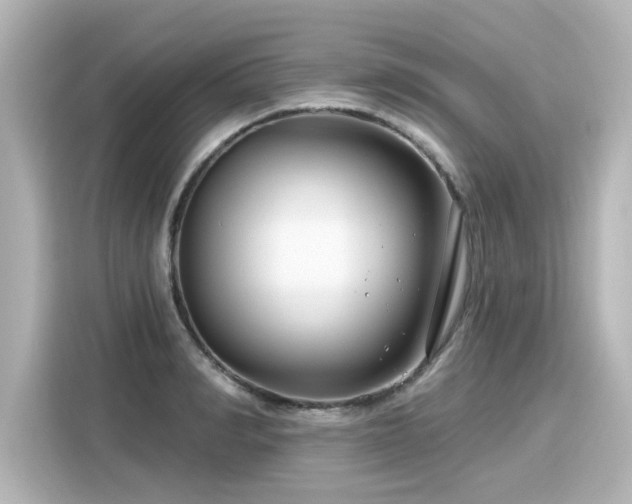 X0000116160990200911301557