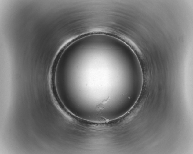 X0000116160991200911301557