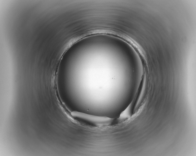 X0000116160993200911301557