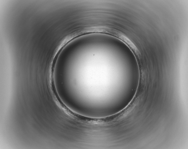 X0000116160994200911301557