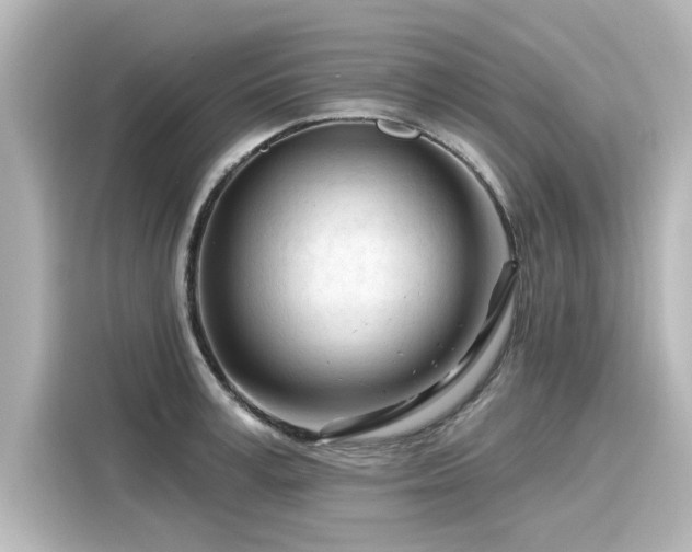 X0000116160995200911301557