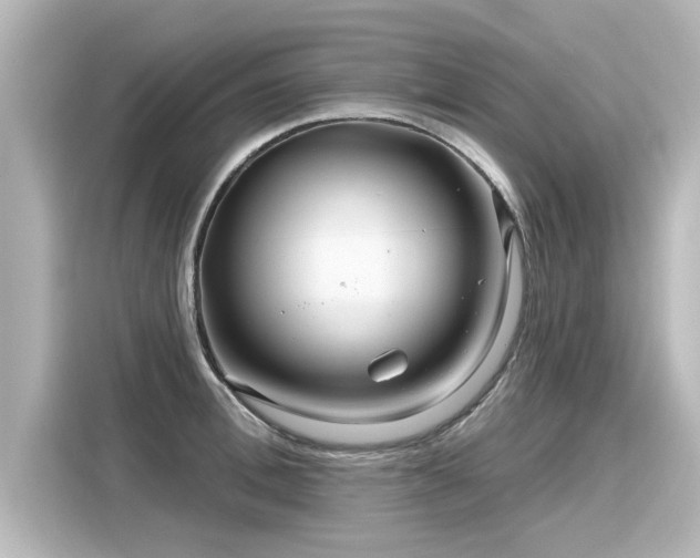 X0000116160996200911301557