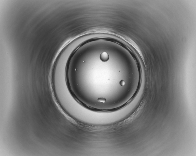 X0000116160997200911301557