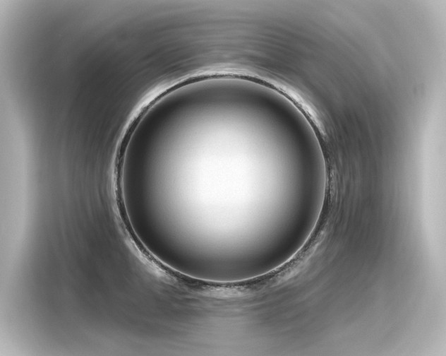 X0000116160998200911301557