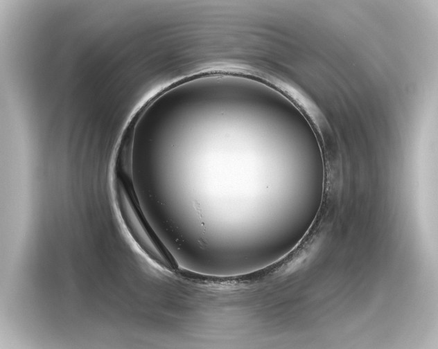 X0000116160999200911301557