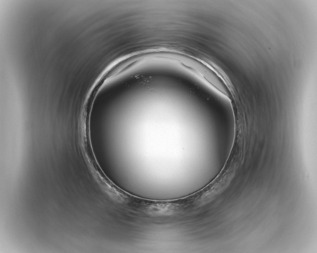 X0000116161000200911301557