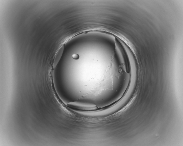 X0000116161001200911301557