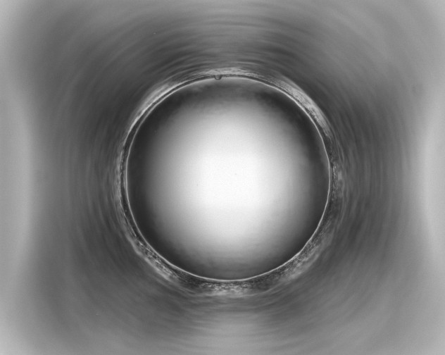 X0000116161002200911301557