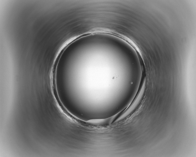 X0000116161003200911301557