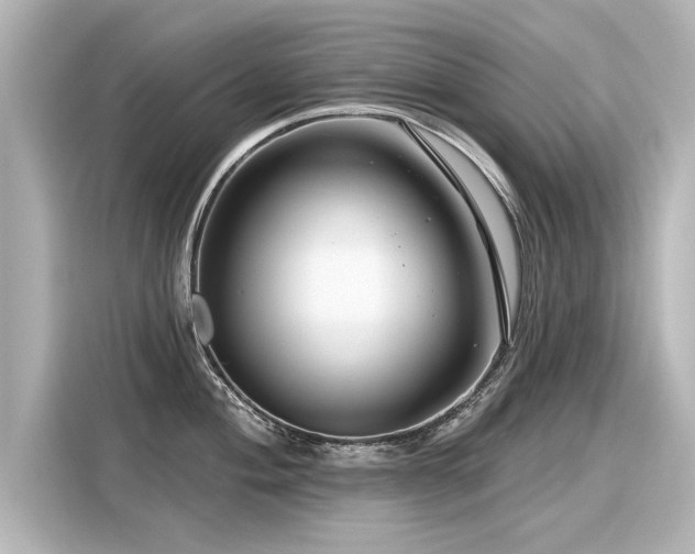 X0000116161004200911301557