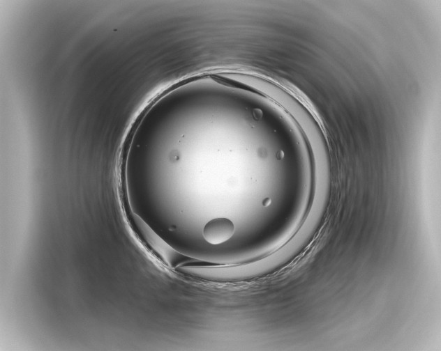 X0000116161005200911301557