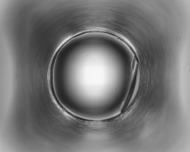 X0000116161007200911301557