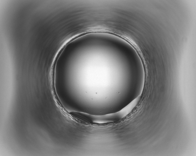 X0000116161008200911301557