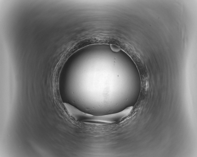 X0000116161009200911301556